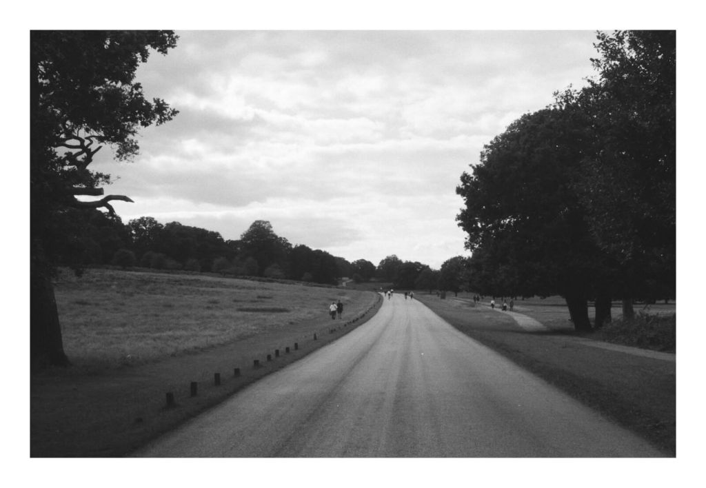 Black and white film photograph of a walking path in park with many people walking in the distance.
